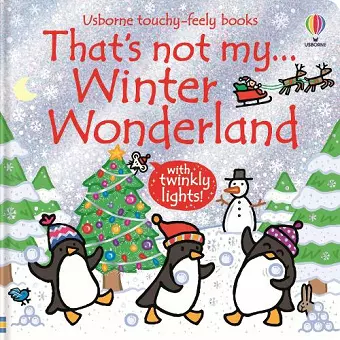 That's not my... Winter Wonderland cover