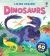 Look Inside Dinosaurs cover
