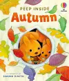 Peep Inside Autumn cover
