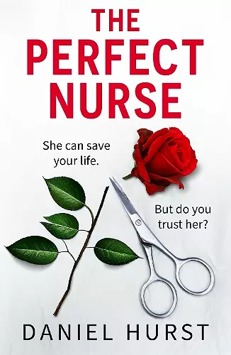 The Perfect Nurse cover