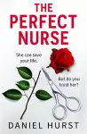 The Perfect Nurse cover