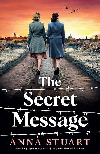The Secret Message cover