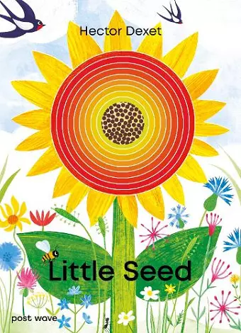 Little Seed cover