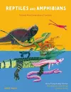 Reptiles and Amphibians cover