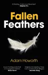 Fallen Feathers cover