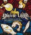 Divine Light cover