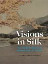 Visions in Silk cover