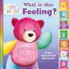 Mood Bears: What is this Feeling? cover