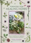 Foraging for Healing Herbs cover