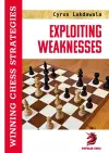 Exploiting Weaknesses cover