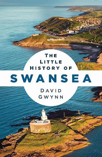 The Little History of Swansea cover