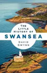 The Little History of Swansea cover