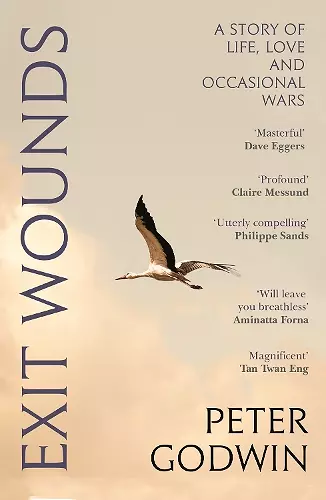 Exit Wounds cover