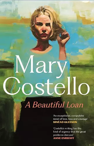 A Beautiful Loan cover