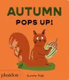 Autumn Pops Up! cover