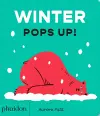 Winter Pops Up! cover