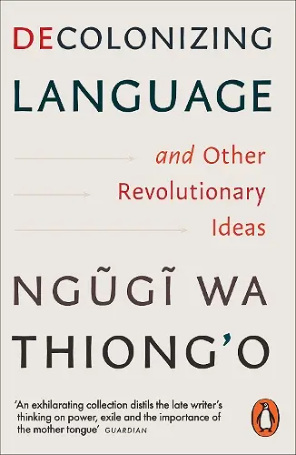 Decolonizing Language and Other Revolutionary Ideas cover