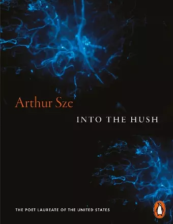 Into the Hush cover
