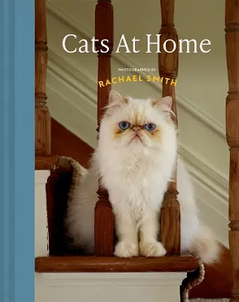Cats at Home cover
