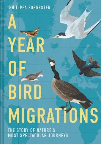 A Year of Bird Migrations cover