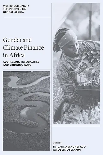 Gender and Climate Finance in Africa cover