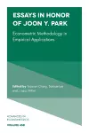 Essays in Honor of Joon Y. Park cover