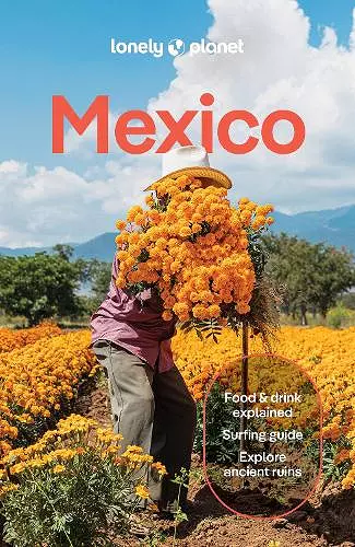 Lonely Planet Mexico cover