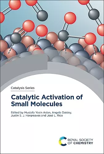 Catalytic Activation of Small Molecules cover