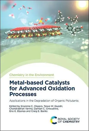 Metal-based Catalysts for Advanced Oxidation Processes cover