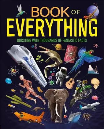 Book of Everything cover