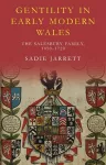 Gentility in Early Modern Wales cover