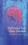 Fieldnotes from Celtic Palestine cover