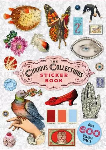 The Curious Collections Sticker Book cover