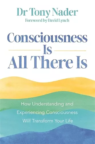 Consciousness Is All There Is cover