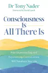 Consciousness Is All There Is cover
