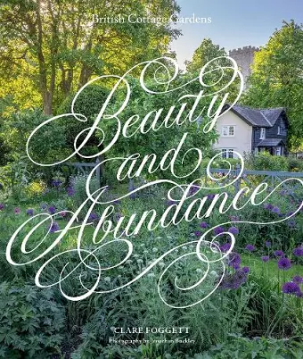 Beauty & Abundance cover