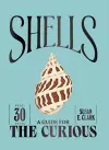Shells cover