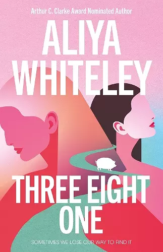 Three Eight One cover