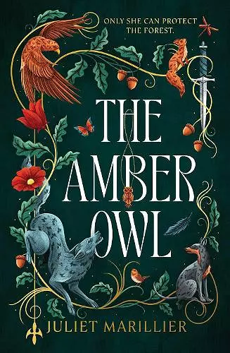 The Amber Owl cover