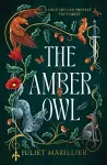 The Amber Owl cover