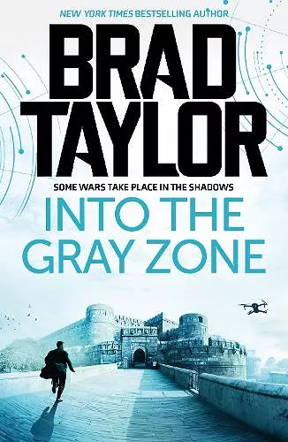 Into the Gray Zone cover