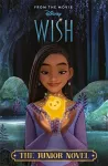 Disney Wish: The Junior Novel cover
