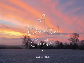 A Beautiful Creation cover
