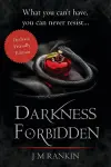 Darkness Forbidden (Dyslexia-Friendly edition) cover