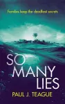 So Many Lies cover