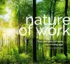Nature of Work cover