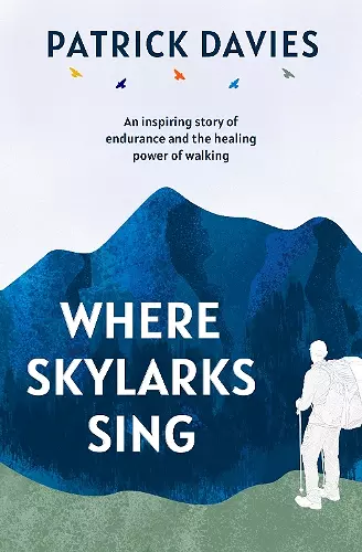 Where Skylarks Sing cover