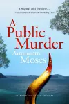 A Public Murder cover