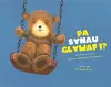 Pa Synau Glywaf i? cover