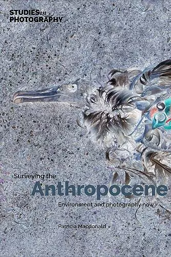 Surveying the Anthropocene: cover